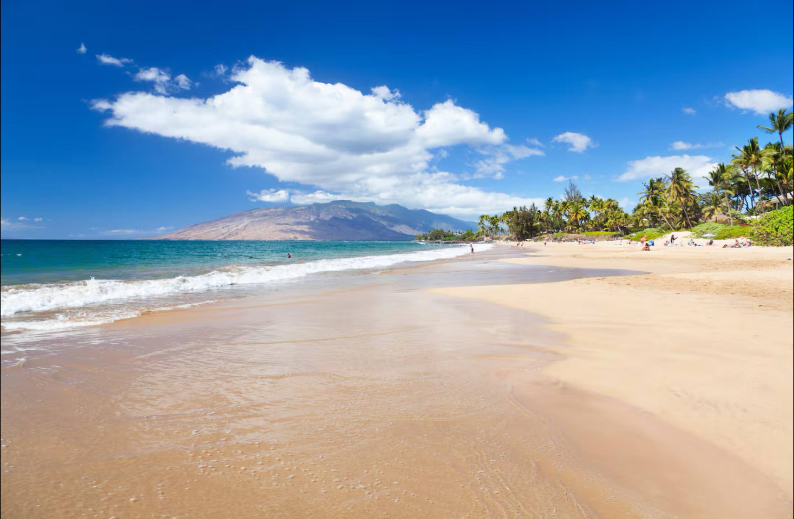 Condo in Kihei · ★4.78 · 1 bedroom · 2 beds · 1 private bath - Image 2