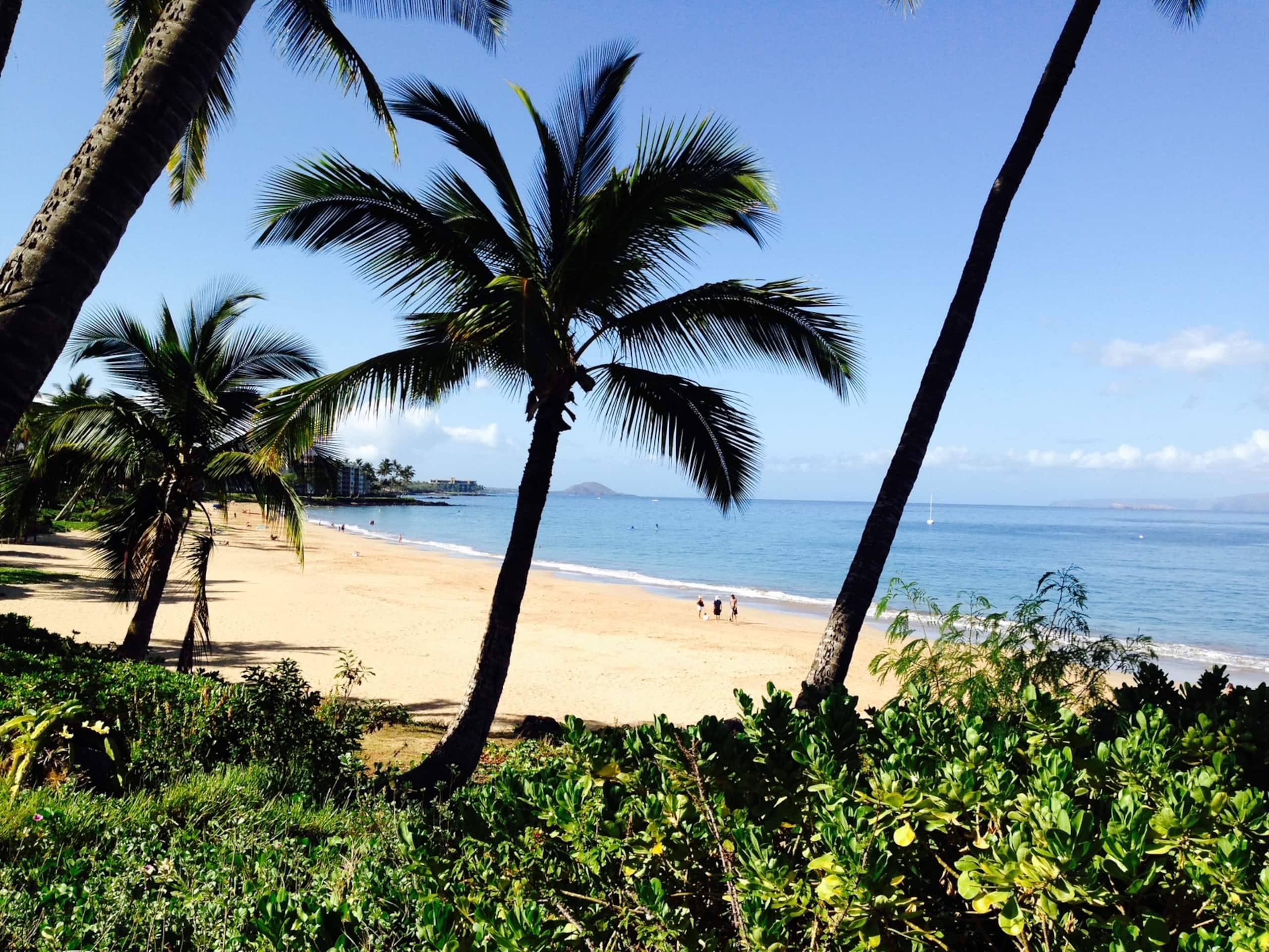 Condo in Kihei · ★4.86 · 1 bedroom · 2 beds · 1 private bath - Image 29