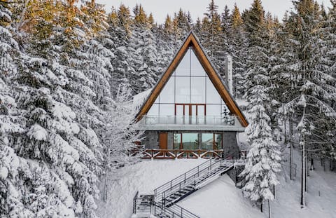 Sofia - Modern Mountain Home