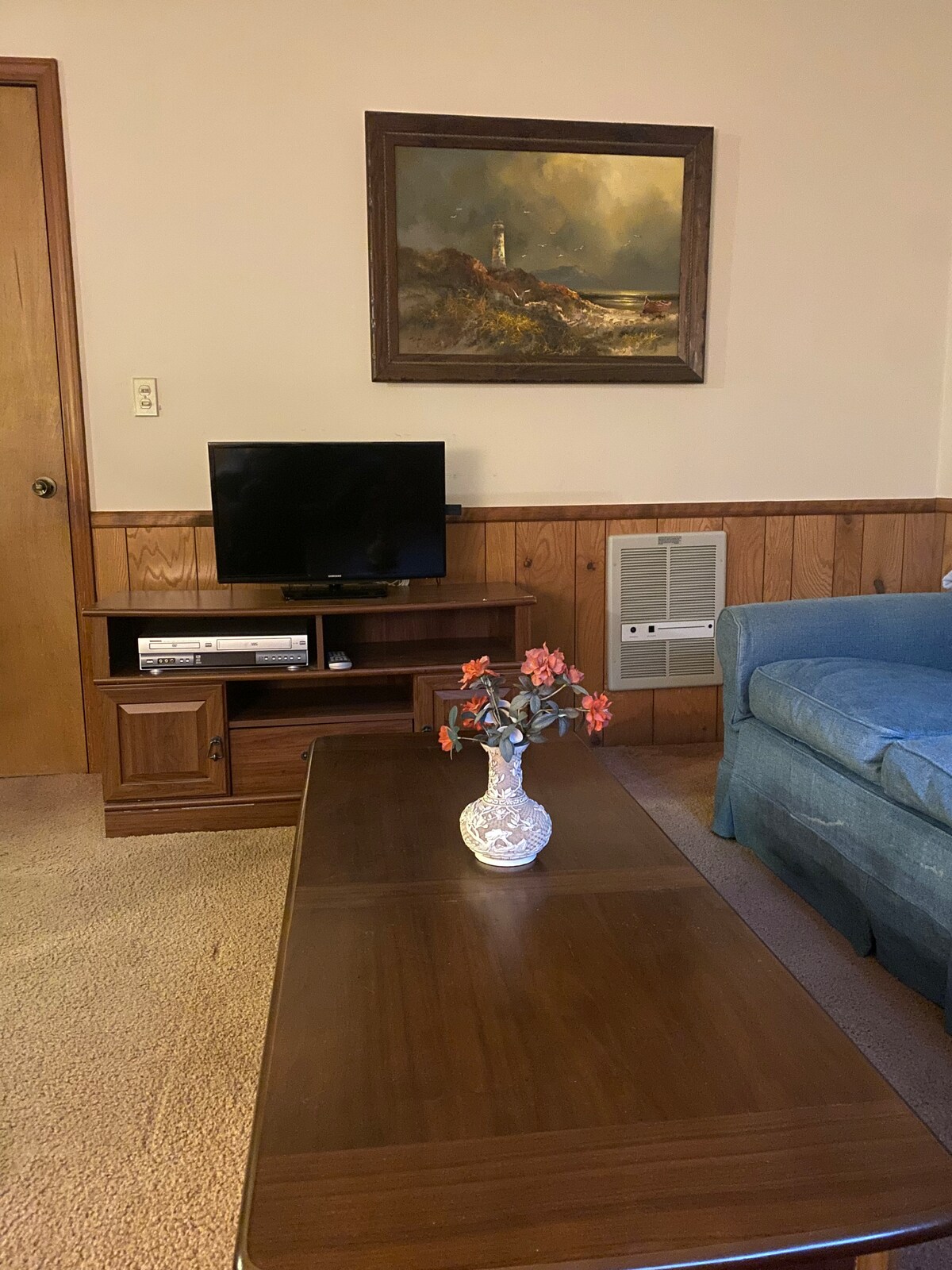 Roku, streamovanie televízie, samostatný VHS/Disc