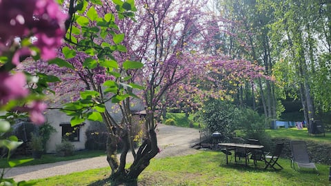 Garden gîte, old mill, pond with fishing