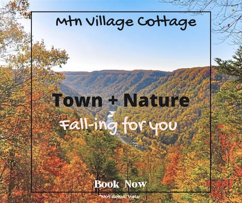 Super clean near I64-I77 Town + Nature