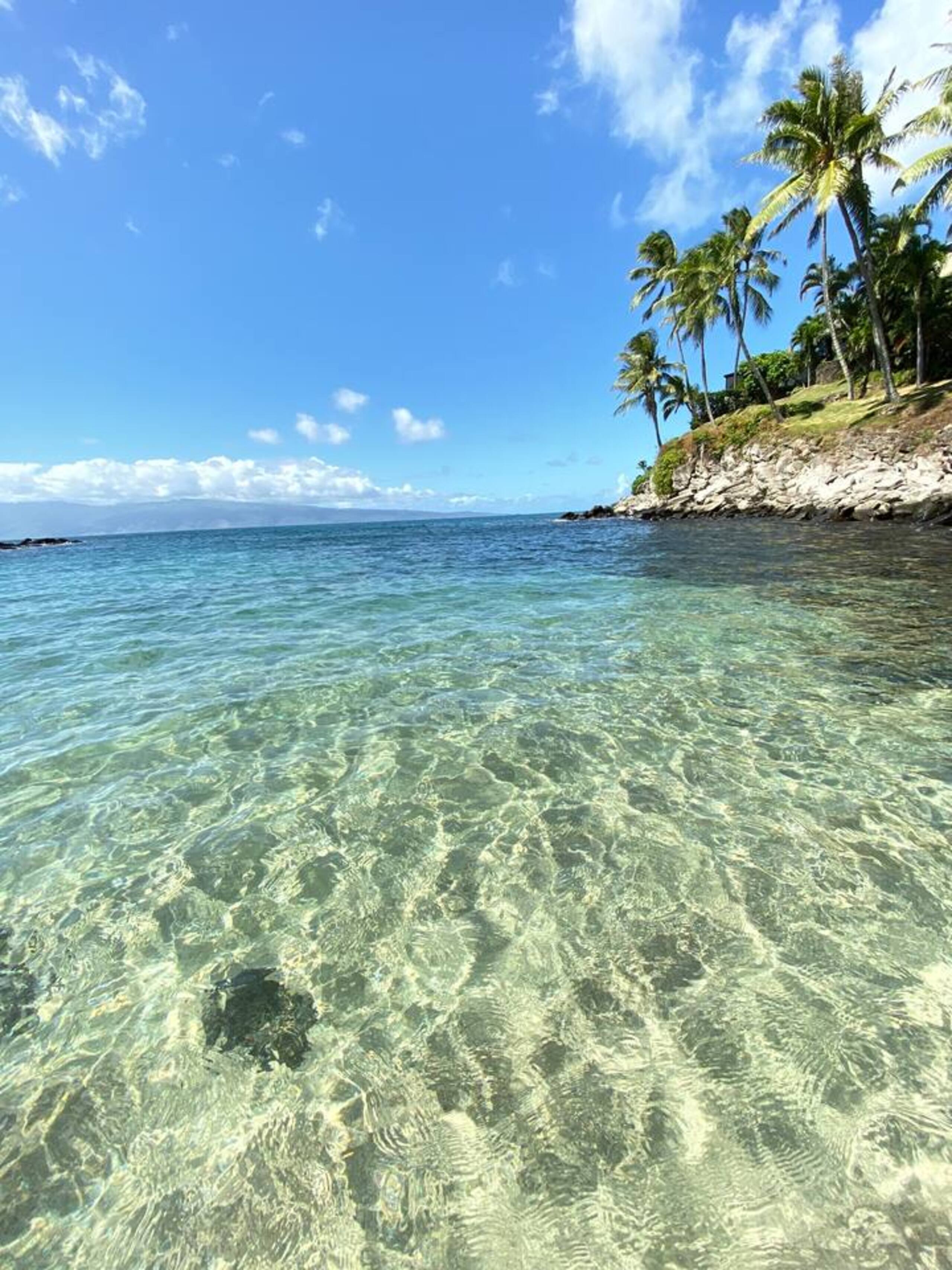 Home in Lahaina · ★4.93 · 2 bedrooms · 3 beds · 2 baths - Image 76