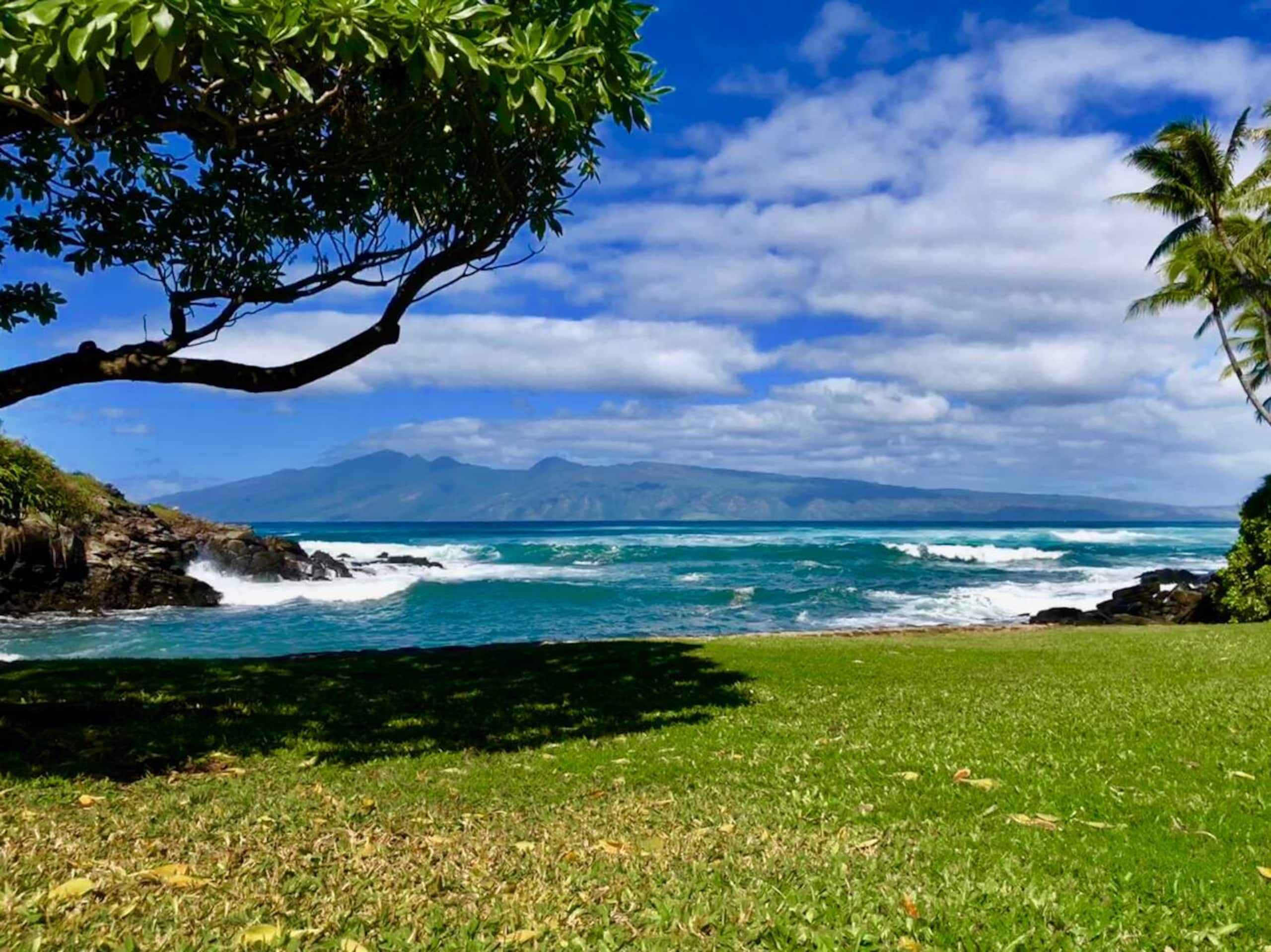 Home in Lahaina · ★4.93 · 2 bedrooms · 3 beds · 2 baths - Image 67