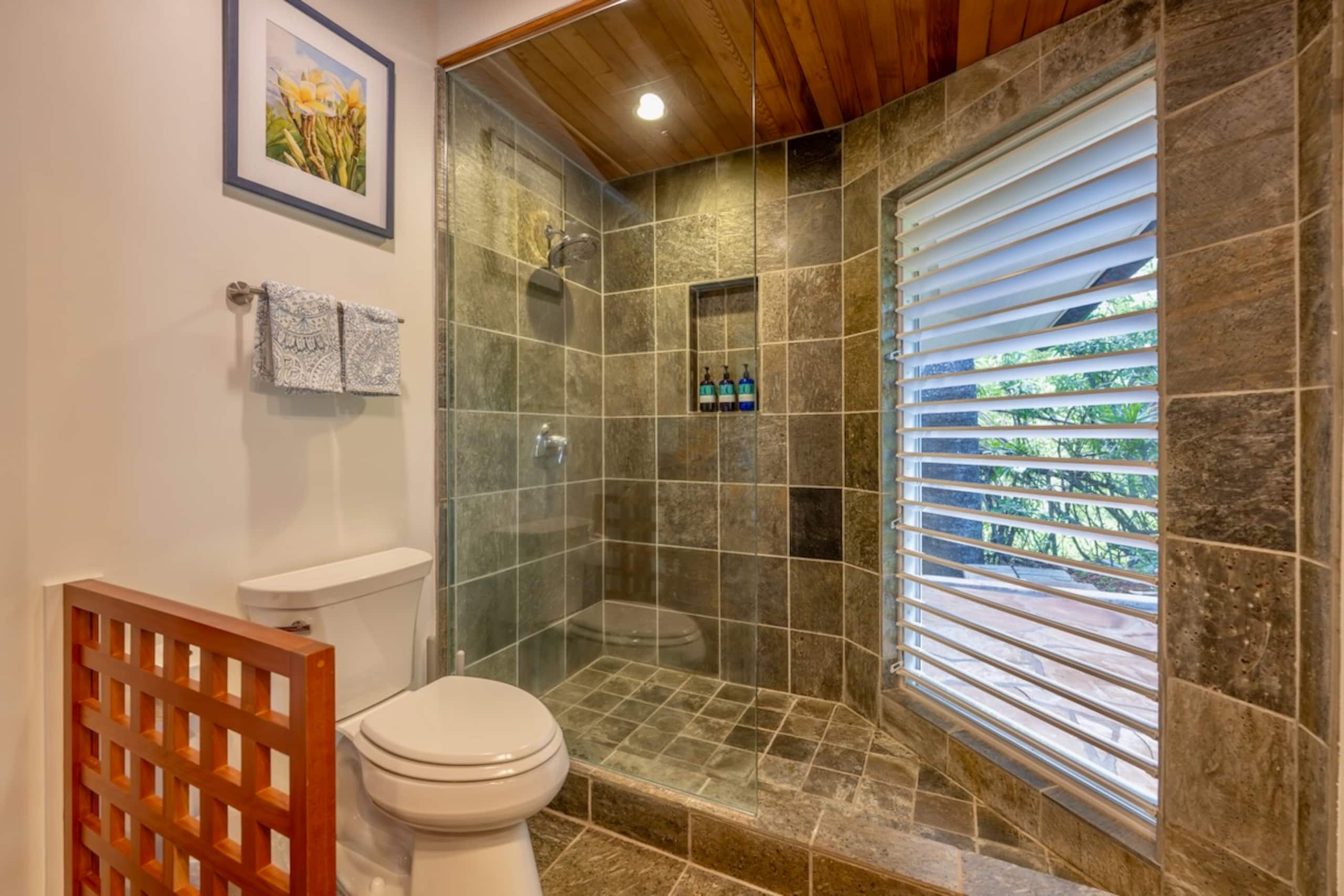 Home in Lahaina · ★4.93 · 2 bedrooms · 3 beds · 2 baths - Image 39
