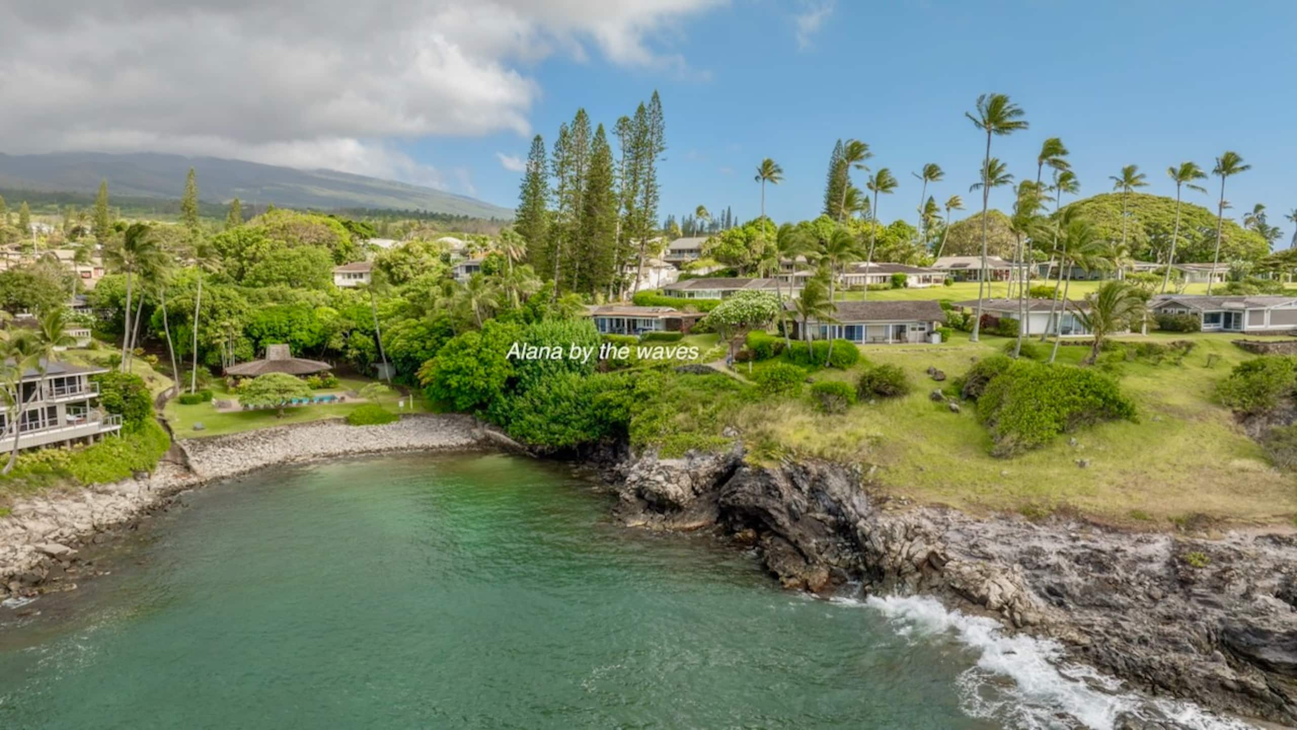 Home in Lahaina · ★4.93 · 2 bedrooms · 3 beds · 2 baths - Image 68