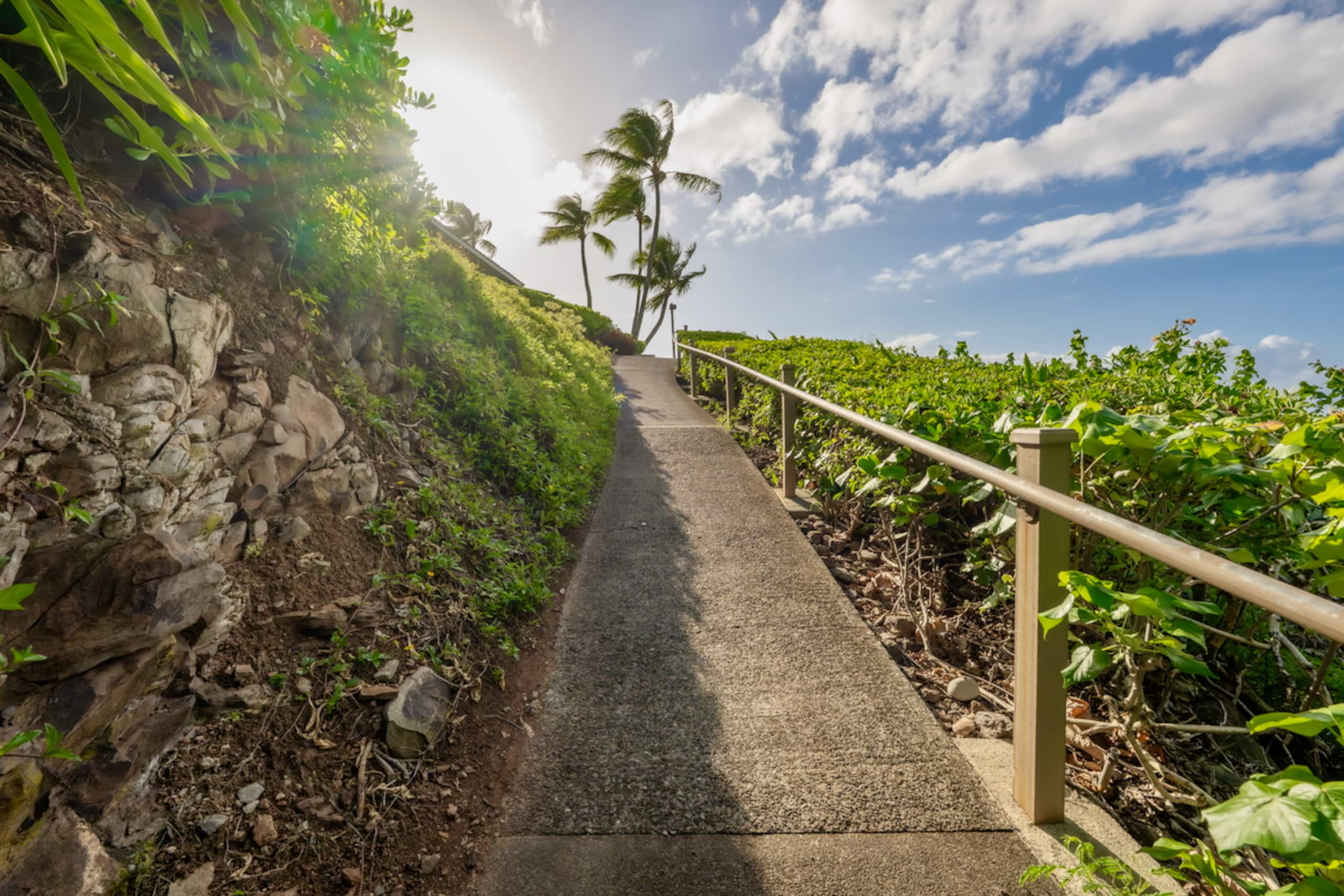 Home in Lahaina · ★4.93 · 2 bedrooms · 3 beds · 2 baths - Image 63