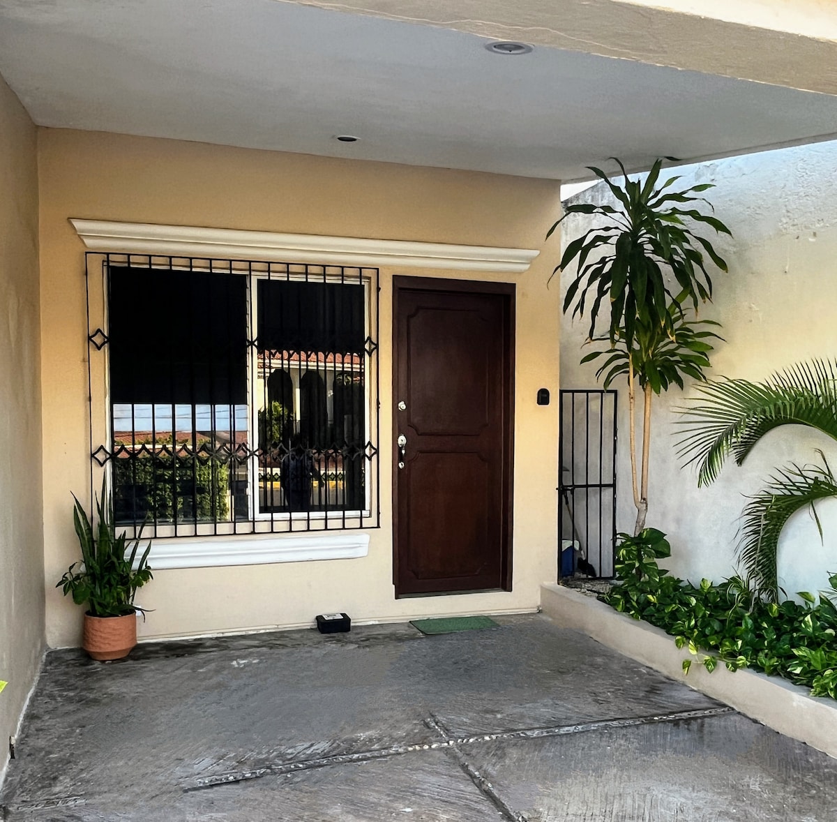 The exterior entrance showcases a welcoming door framed by lush greenery. A large window with security bars allows natural light to brighten the space. Concrete flooring leads up to the entrance, enhancing accessibility. Potted plants add a touch of nature to the inviting atmosphere.