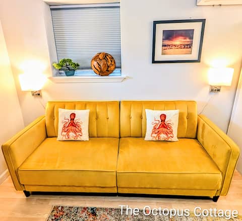 Successful Airbnb property: Octopus Cottage in Pensacola