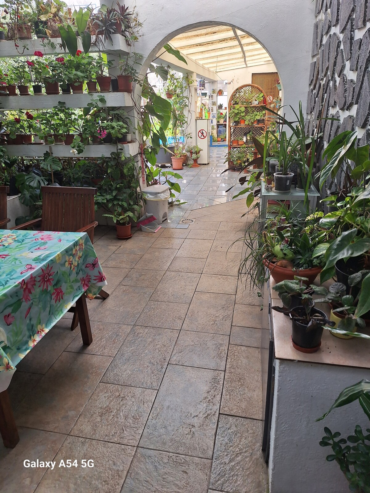 A pathway features tiled flooring, leading through a vibrant courtyard filled with a variety of potted plants. A table with a floral tablecloth is positioned to the left, while greenery lines the walls, creating a refreshing and inviting environment.