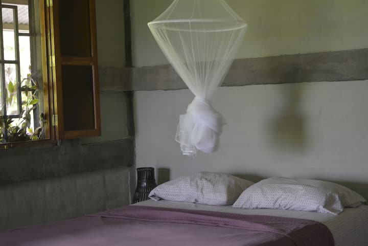 Tranquila habitación con cómoda cama tamaño queen.