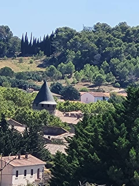 Large apartment in Minervois