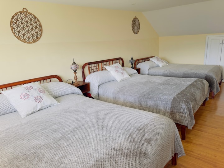 Habitación 4