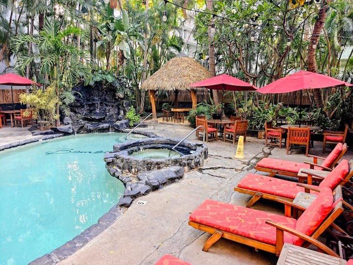 美しいプールとビーチに近い、クイーンスタジオ、最高のロケーション-完璧な価格! - Honolulu, HI