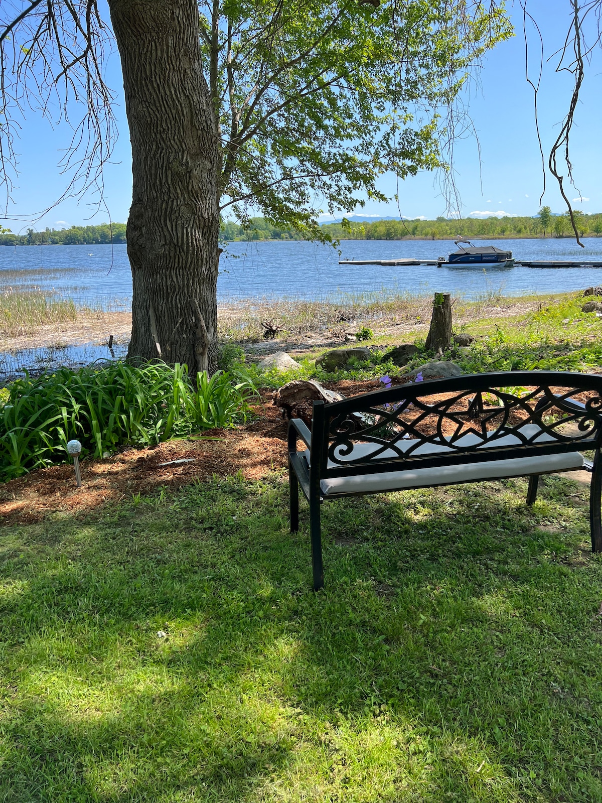 A black metal bench is positioned in a grassy area by the water's edge, offering views of Lake Champlain. Surrounding foliage includes native plants and trees, creating a serene spot for relaxation. The gentle ripples of the water reflect the bright blue sky.