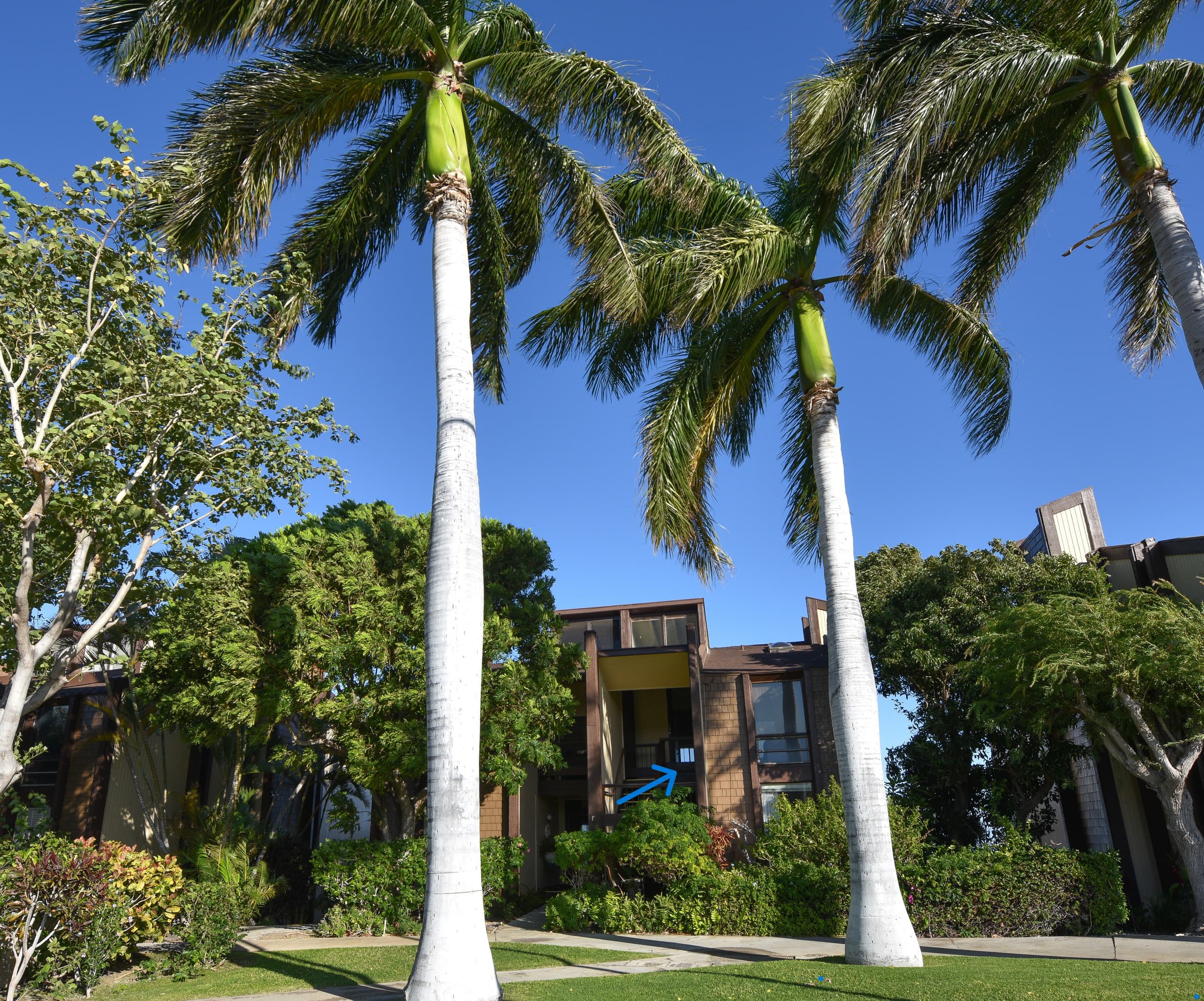 Home in Waikoloa Village · ★4.95 · 1 bedroom · 1 bed · 1 bath - Photo 27