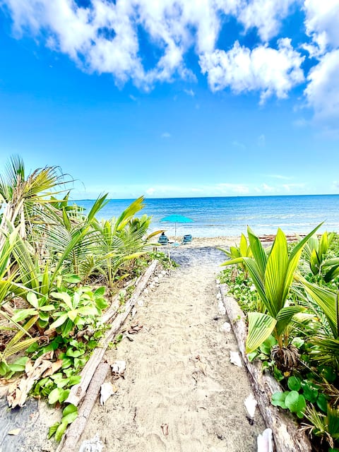 Stay Local at Your Beachfront Casa in Paradise