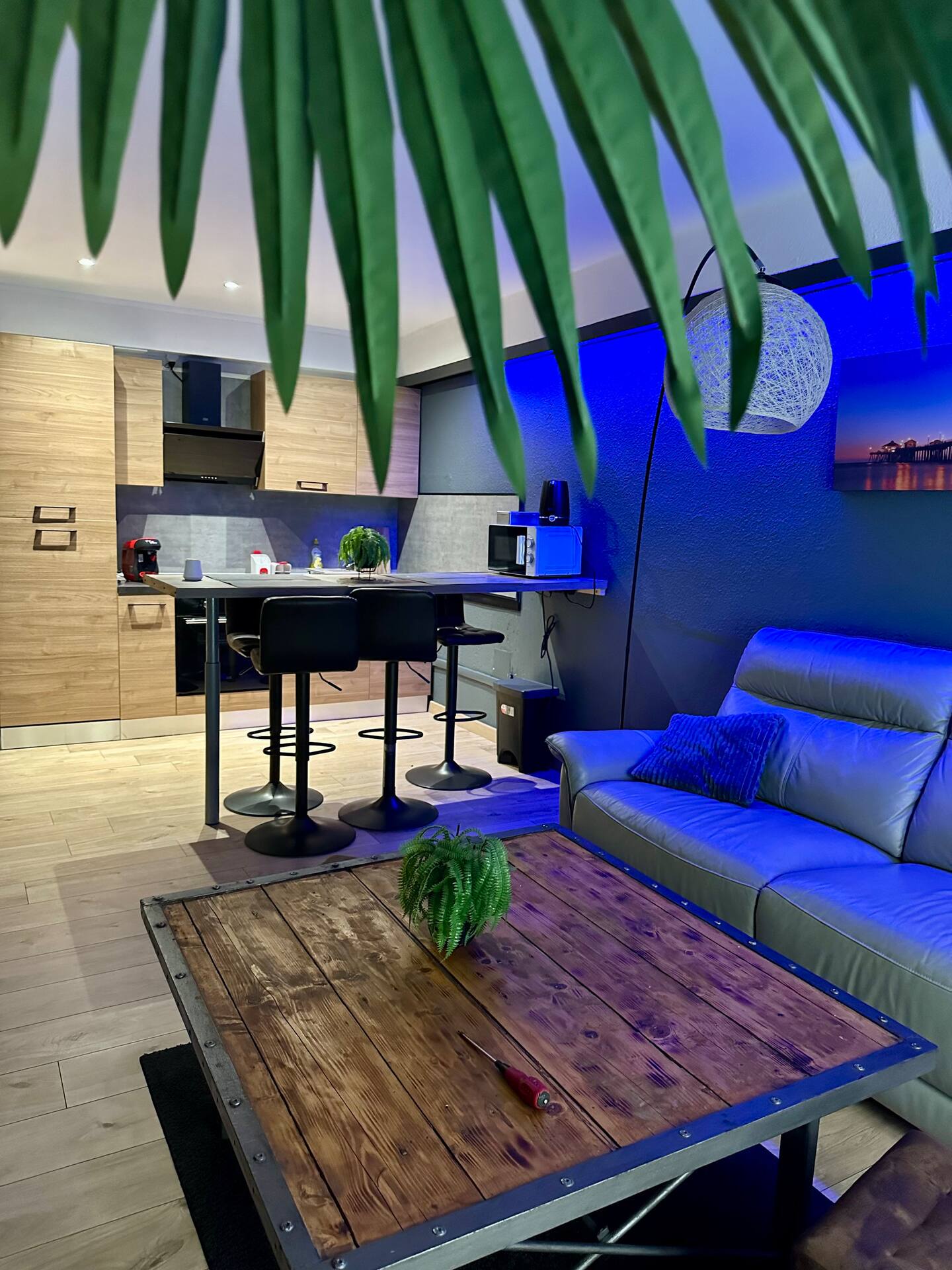 Grand appartement 80 m² avec terrasse