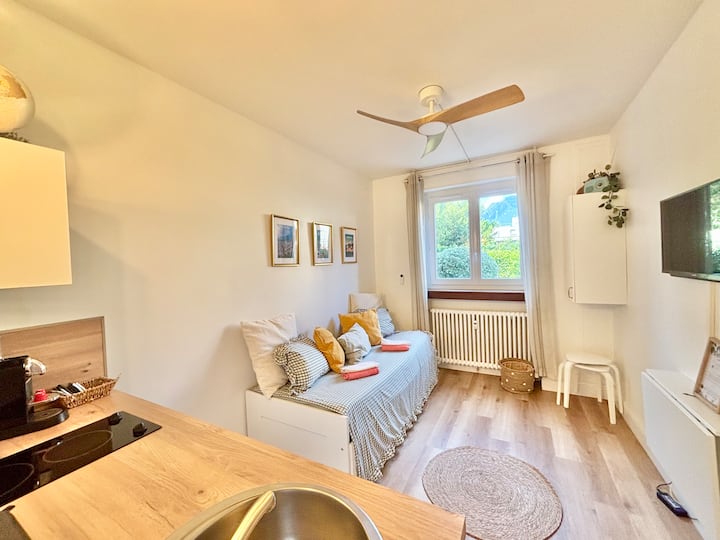 𝐿𝑒 𝑝𝑒𝑡𝑖𝑡 𝑐𝑜𝑐𝑜𝑛 -Vue Jardin Centreville - Grenoble