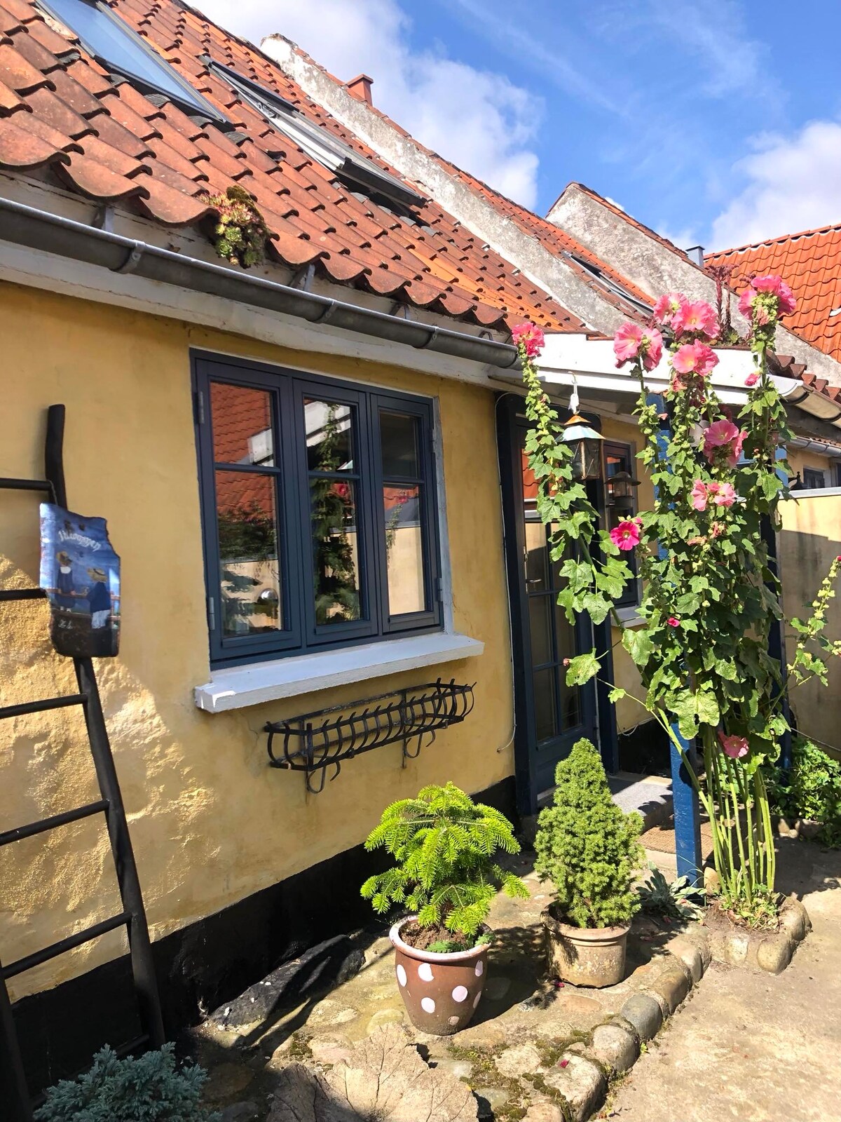 A charming exterior of a yellow house is displayed, featuring blue window frames and flowering plants. A climbing vine and potted greenery enhance the welcoming entrance. A decorative wall planter adds character to the attractive outdoor space.