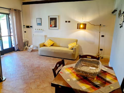 Airbnb con migliori performance: Lupina farm: a green corner between the sea and the hills a Cecina