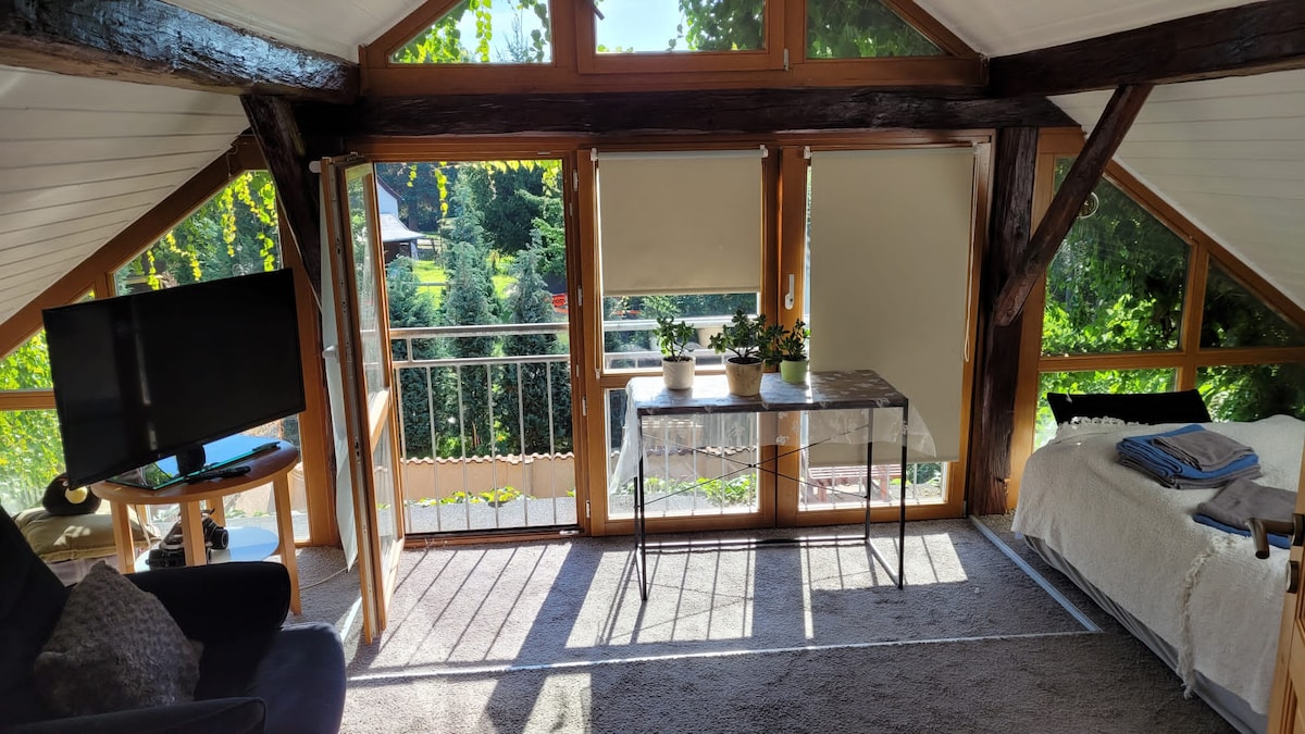 A bright living space is illuminated by natural light through large windows. A comfortable chair and a glass table are positioned near the window. Small potted plants add a touch of greenery to the room, which features wooden beams and a cozy atmosphere.