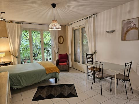 Successful Airbnb property: Quiet and cool oasis Studio in the Villeneuve neighborhood in Sud Gare