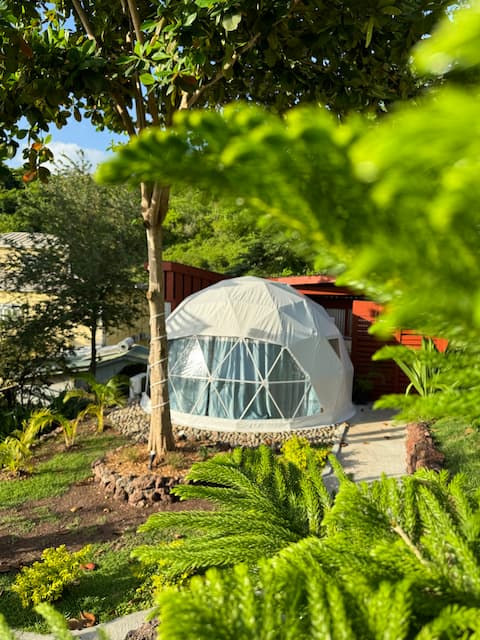 Unique Stay, Secret Garden, FREE Airport Pickup!