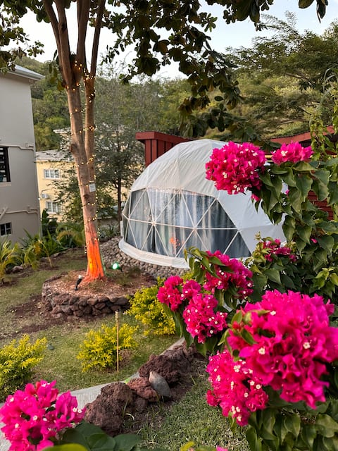 Unique Stay, Pool, Garden, FREE Airport Pickup!