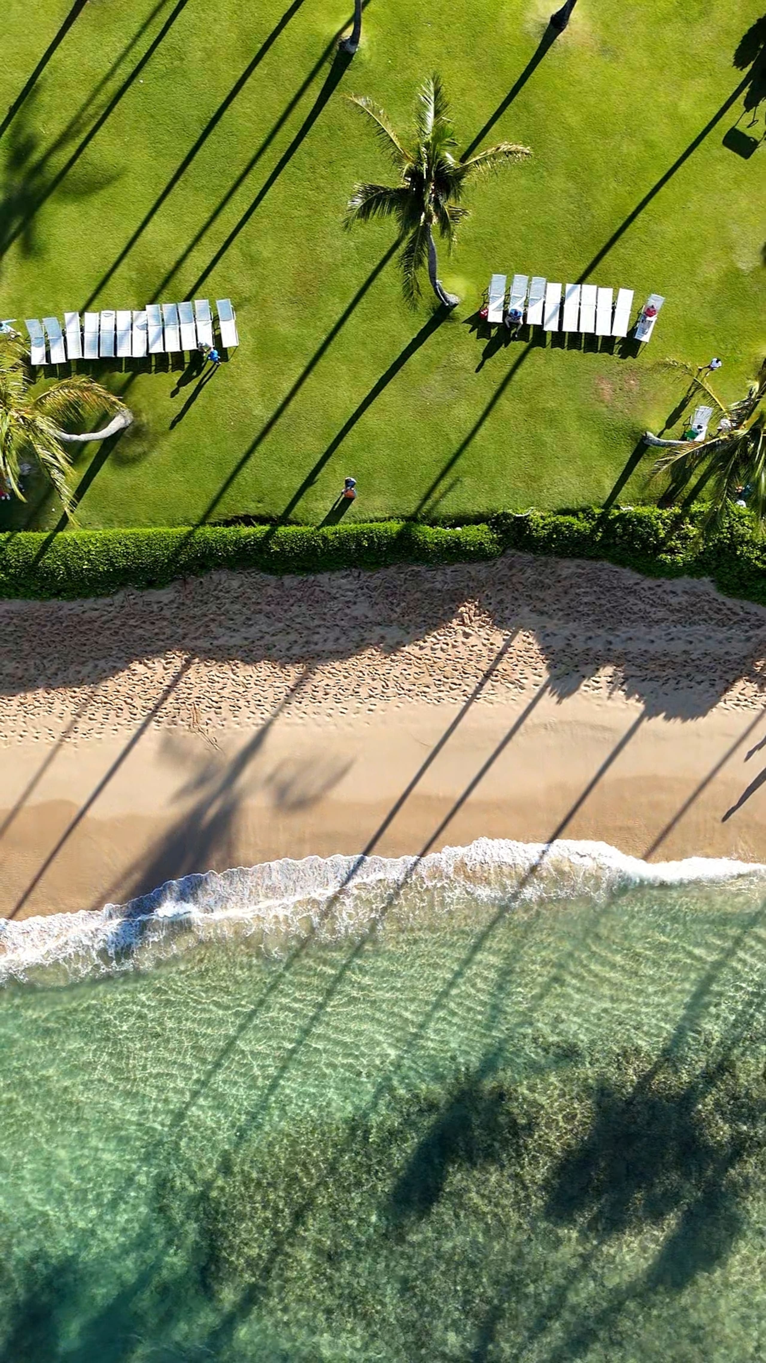 Condo in Koloa · ★4.99 · 1 bedroom · 2 beds · 1 bath - Photo 61