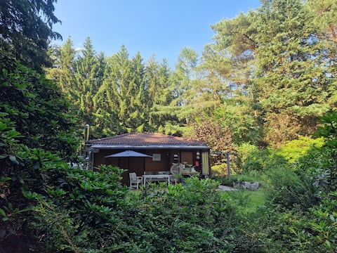 Natural paradise: Charming wooden house on a 3,000-square-meter plot