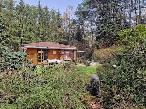 Natural paradise: Charming wooden house on a 3,000-square-meter plot