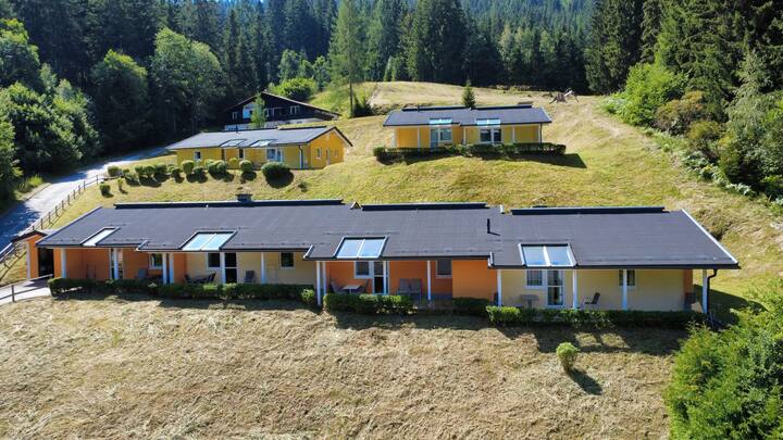 Ferienwohnung/app. Für 6 Gäste Mit 52m² In Bach (92161) - Bad Kleinkirchheim