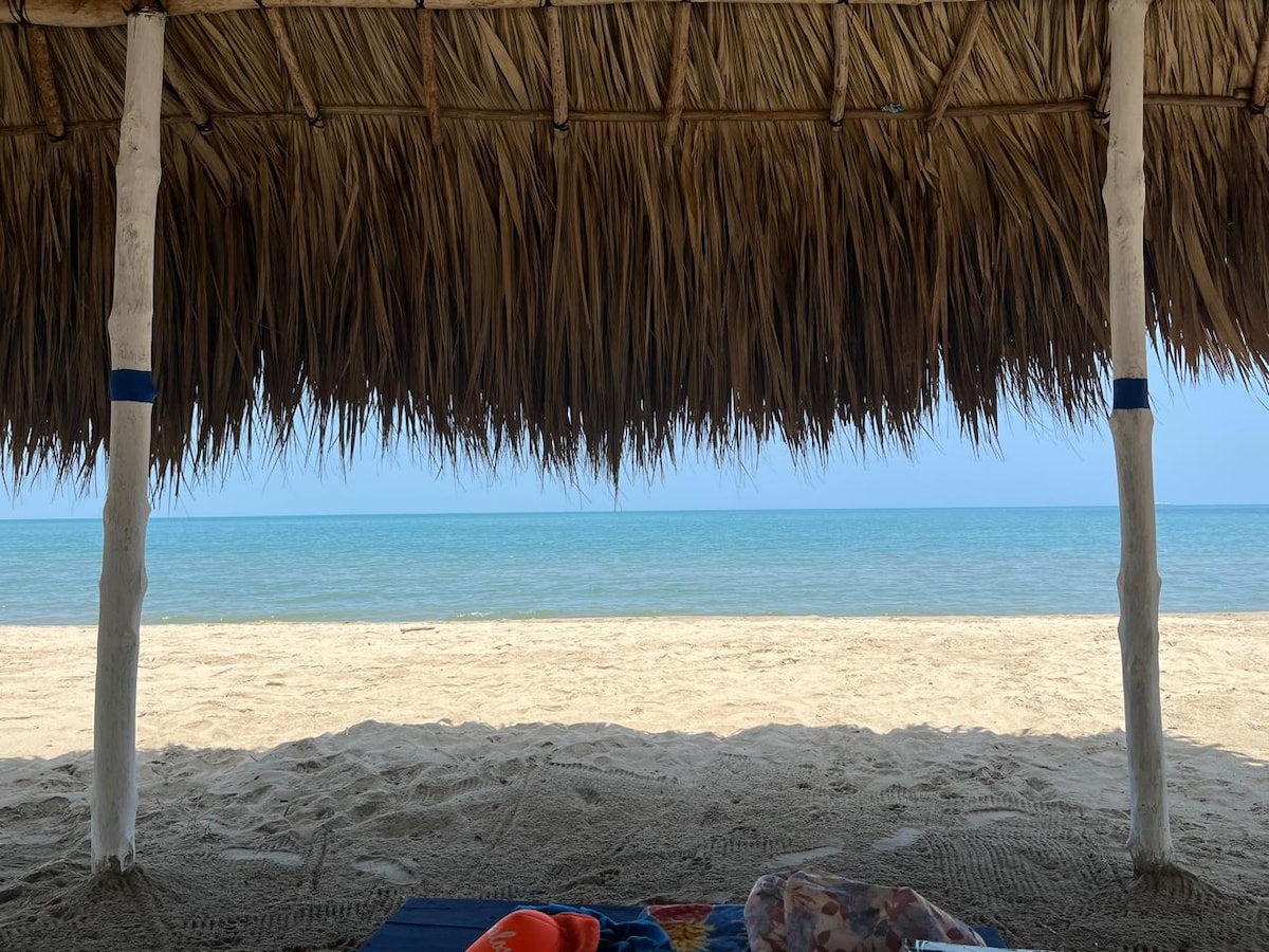 A shaded area is created by a thatched roof, offering a view of a serene beach. The sandy shore meets the calm sea, with light blue waters stretching into the distance under a clear sky.