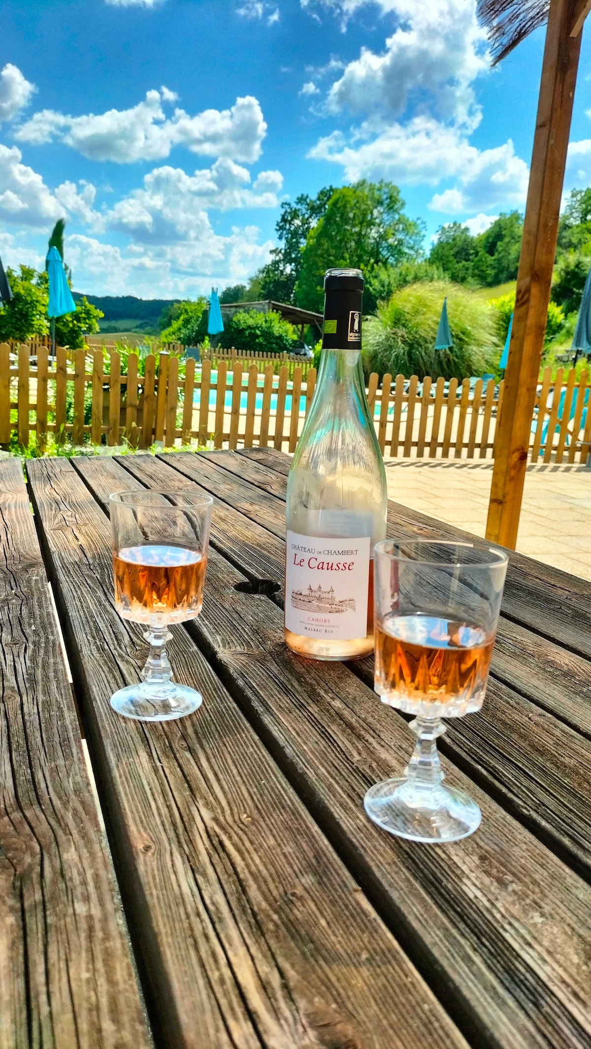 A wooden table is set with two glasses filled with rosé wine and a bottle titled 'Le Causse.' Lush greenery and a blue sky with scattered clouds are visible in the background, providing a serene outdoor setting.