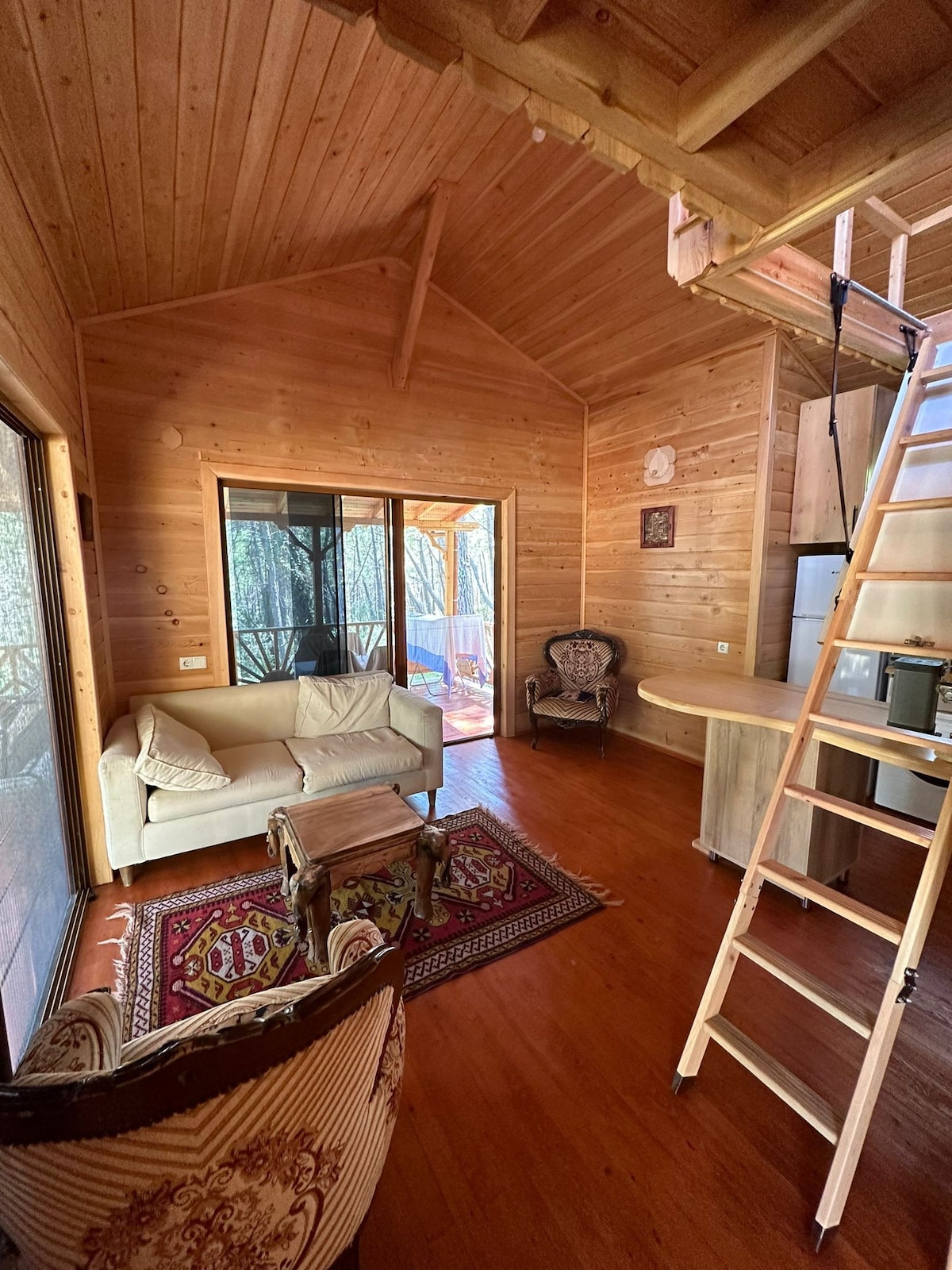 A wooden interior with high ceilings features a comfortable sofa and a small wooden table. Large windows allow natural light to illuminate the space. A ladder leads to a loft area, while a decorative rug adds warmth to the wooden floor.
