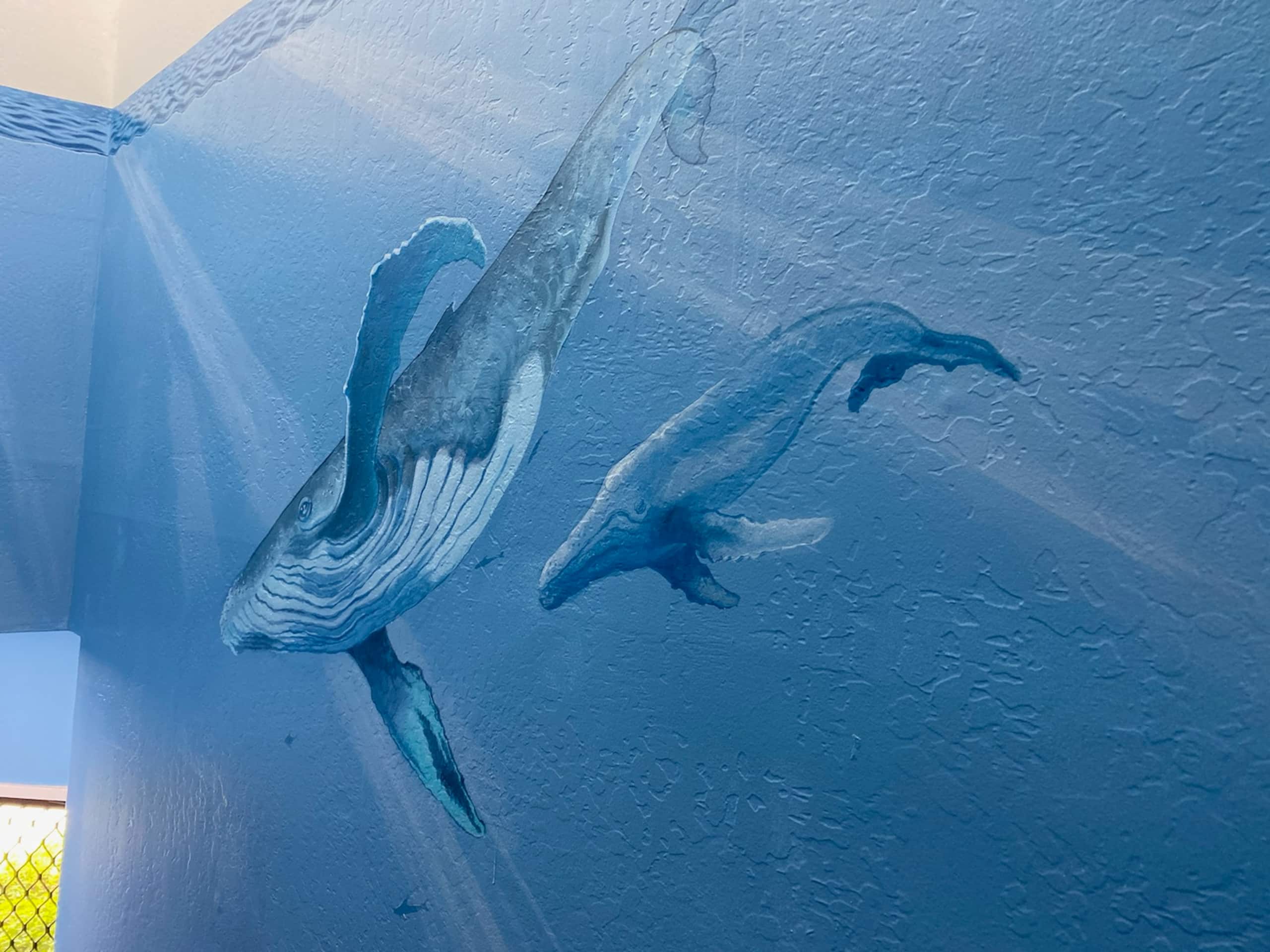 High-End Ocean Sanctuary with Upgraded Interiors - Image 73