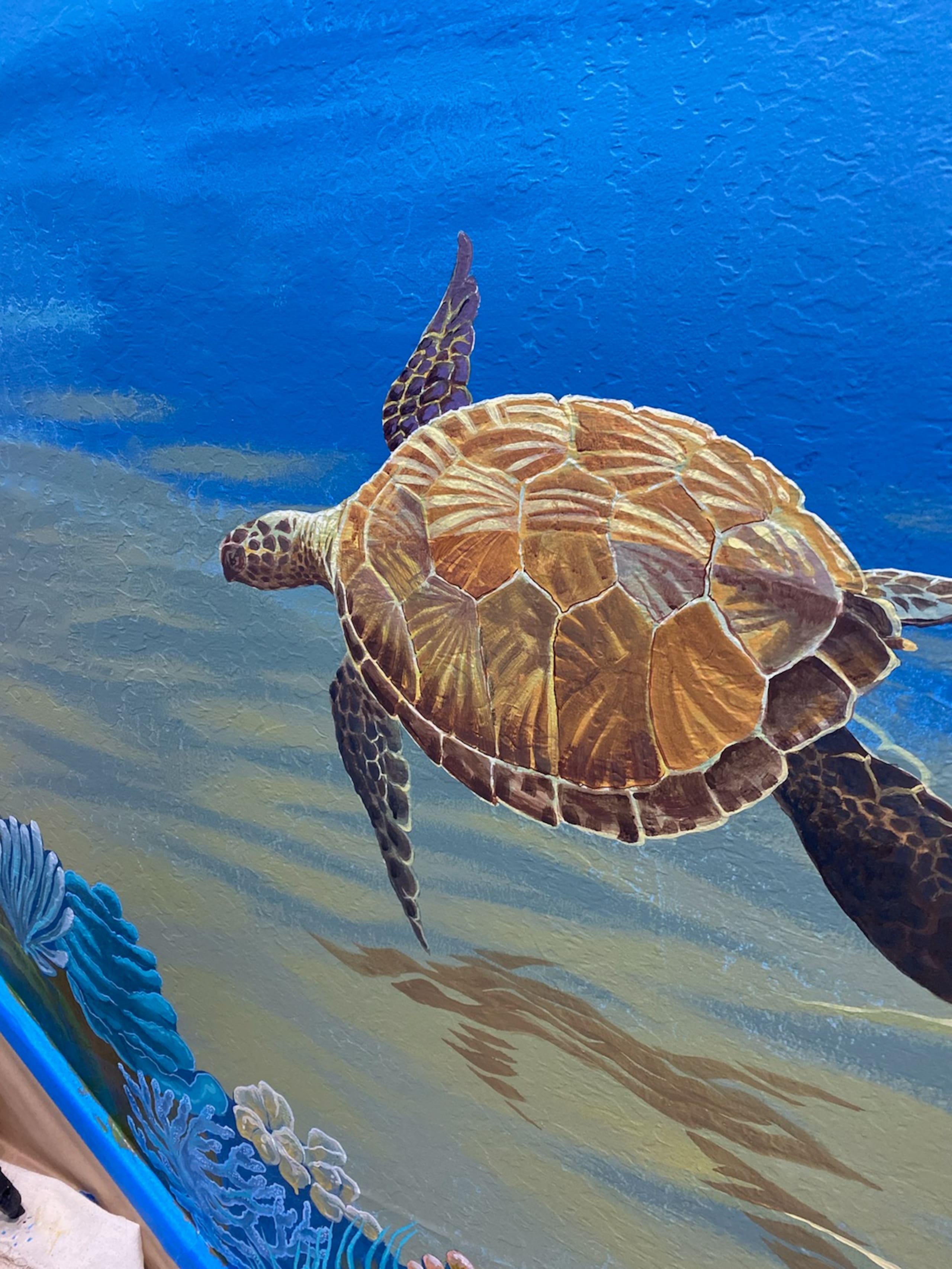 High-End Ocean Sanctuary with Upgraded Interiors - Image 75