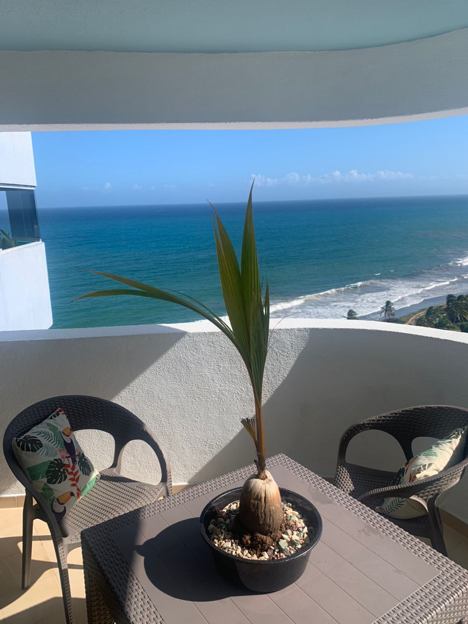 A balcony is featured with two round chairs and a small table, overlooking the ocean's waves. A potted palm adds a natural touch, while cushions with tropical patterns enhance the seating area. The clear blue water and sky provide a serene backdrop.