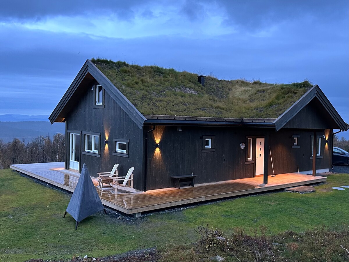 A modern cabin features a green grass roof and a wooden deck. Outdoor seating is arranged thoughtfully in front of the cabin. Soft lighting accents the dark exterior, while the surrounding landscape includes grassy areas and distant hills under a cloudy sky.