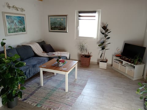 Successful Airbnb property: Studio House with sea view in Peroj