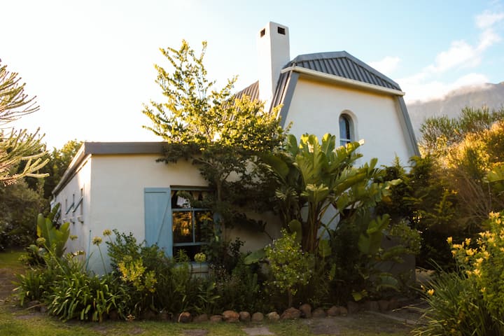 Strelitzia Hemel En Aarde - Hermanus
