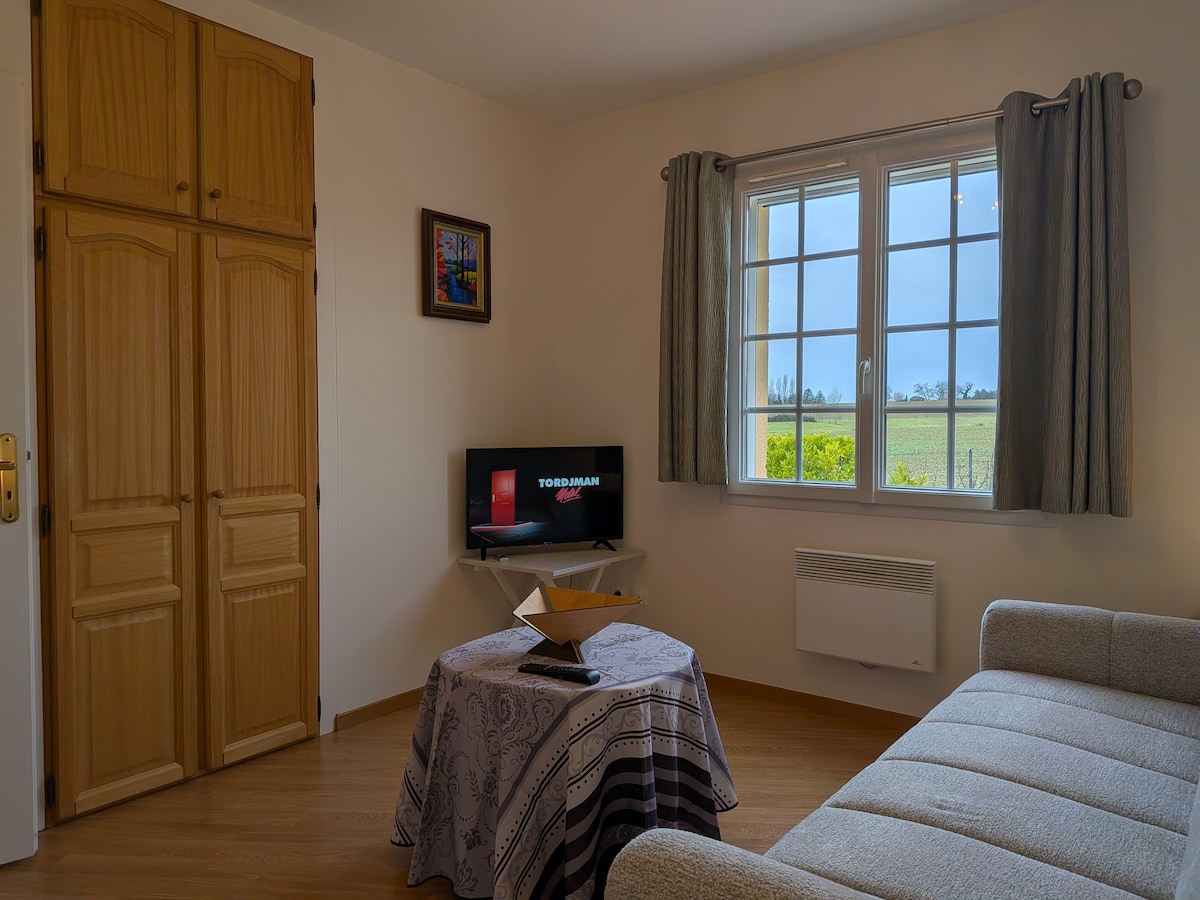 Living room with a comfortable sofa bed (1.40m x 2m) for 2 people