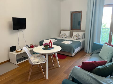 Successful Airbnb property: Apartment Kastel Villa #9 in Brežine