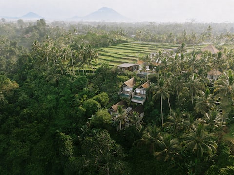 One Bedroom Private Pool Villa With Valley View