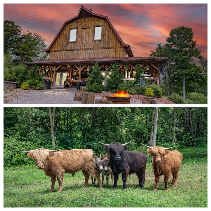 Barn Rentals Barn Rental Cabin on a Highland Cow Farm - Cabins for Rent in McArthur ...