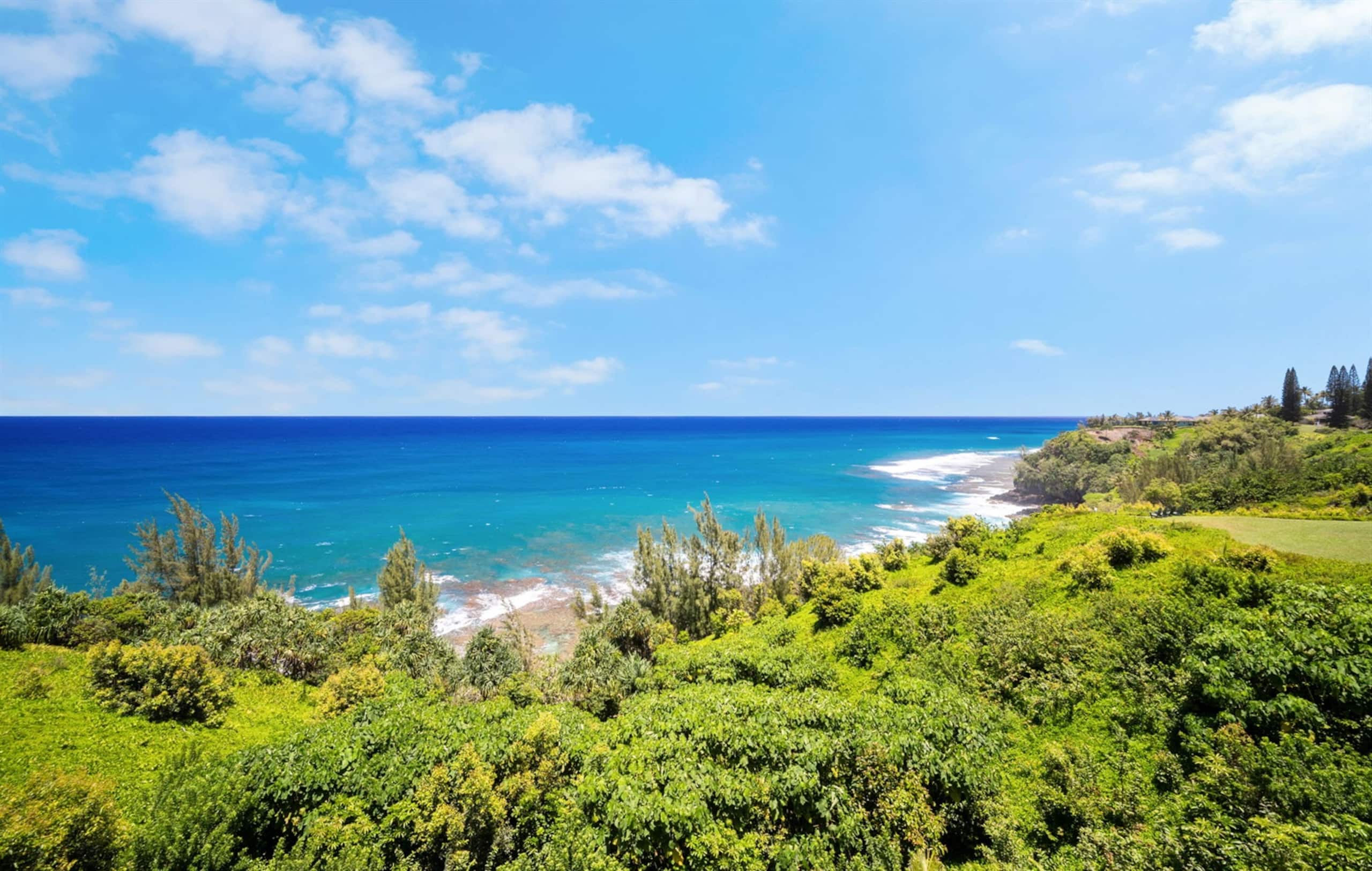 Condo in Princeville · ★4.94 · 2 bedrooms · 2 beds · 2 baths - Image 55