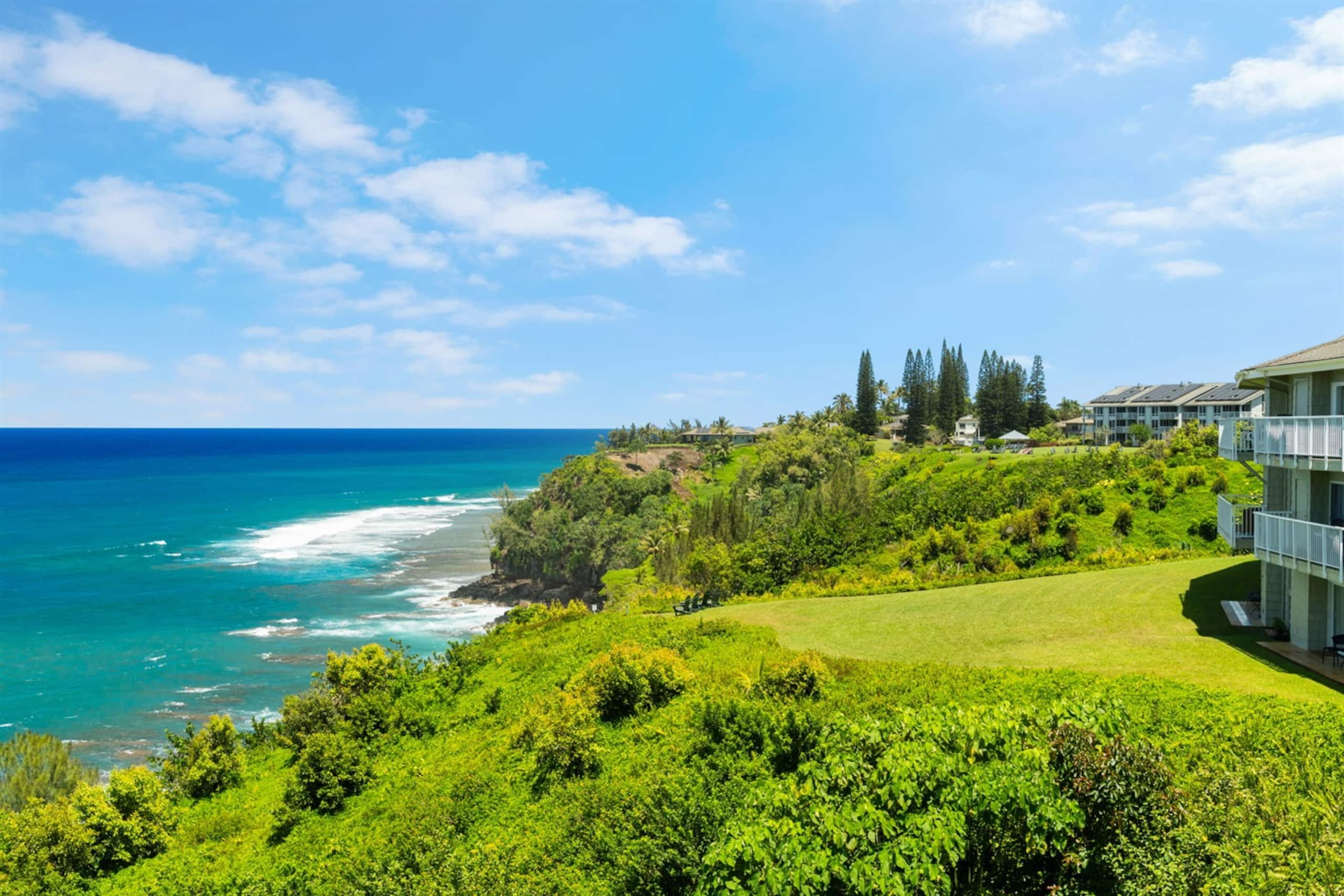 Condo in Princeville · ★4.94 · 2 bedrooms · 2 beds · 2 baths - Image 52