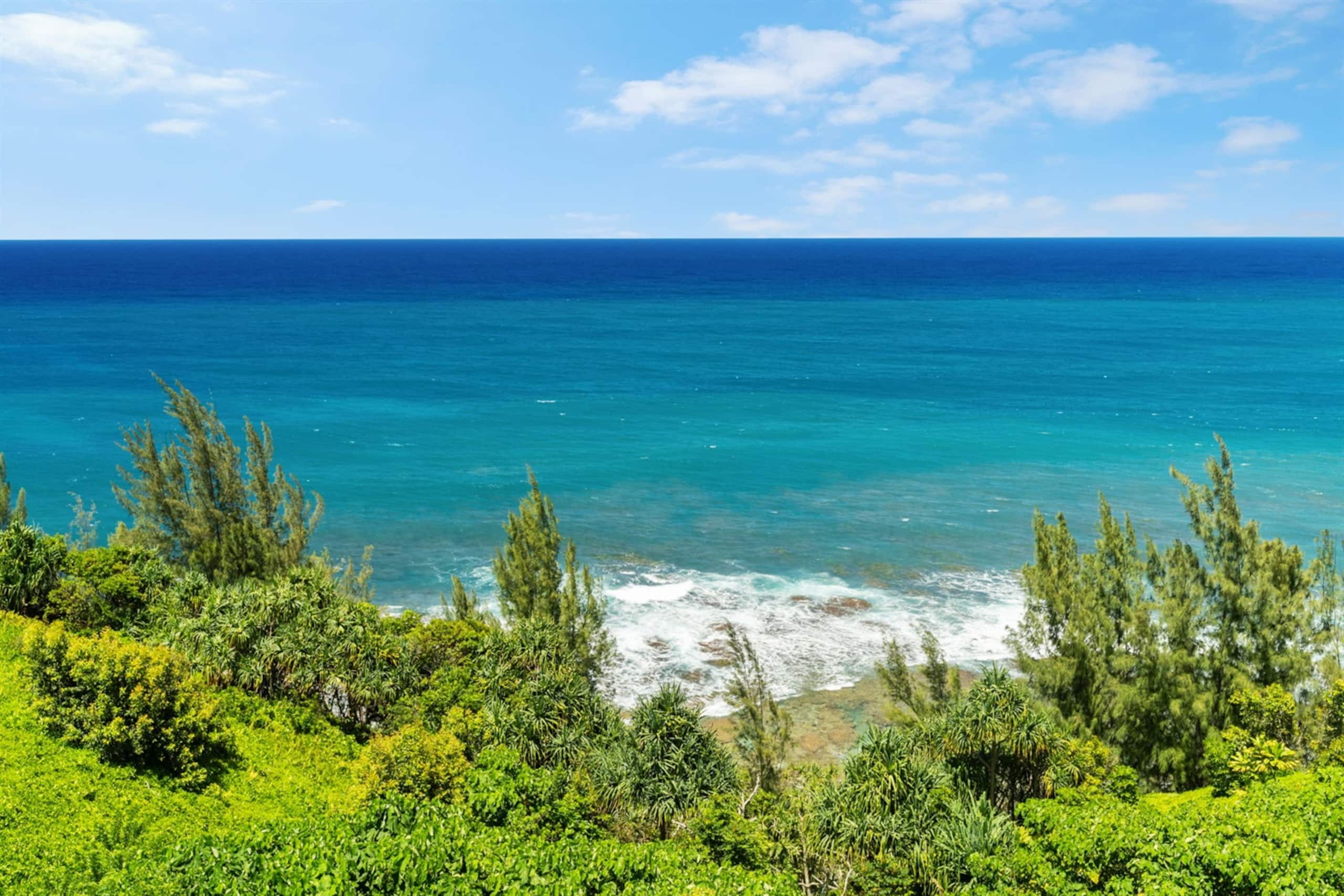 Condo in Princeville · ★4.94 · 2 bedrooms · 2 beds · 2 baths - Image 27