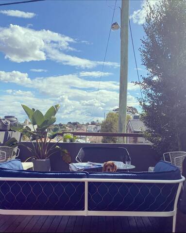 Beautiful Bondi Junction Terrace